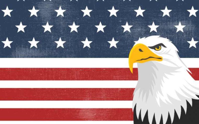 symbol of American patriotism, the US flag and bald eagle, meaningful to hopefuls with a political resume in their job search