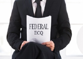 federal ECQs: narrative statement sample