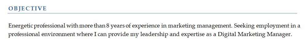 Resume Objective Statement Sample