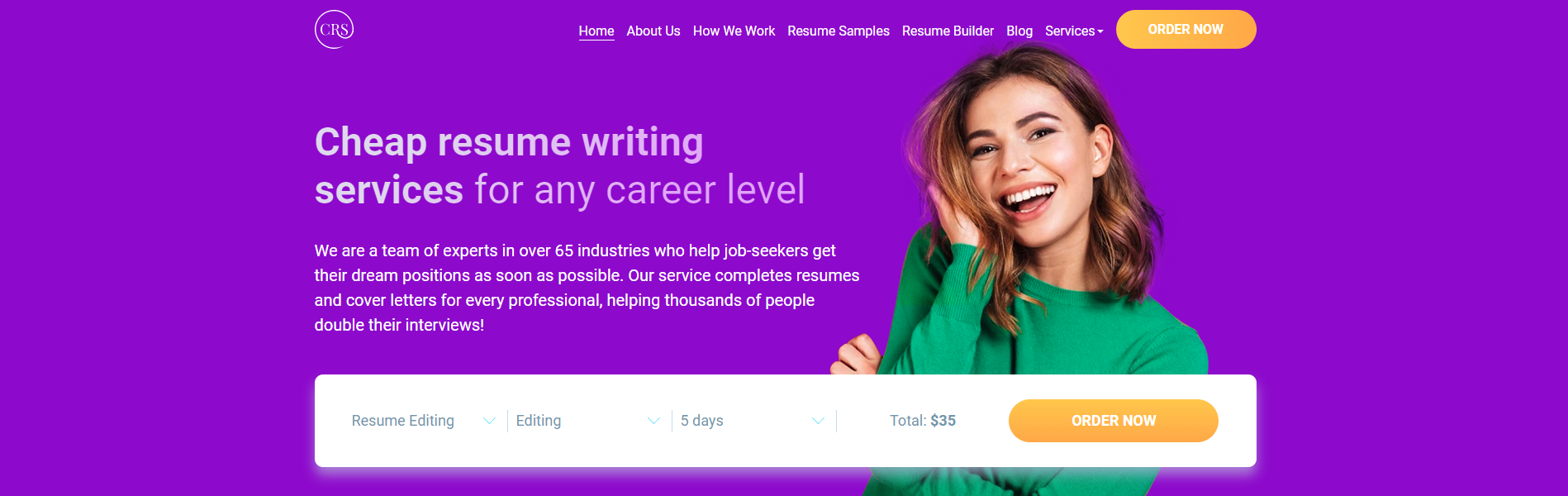 Cheap Resume Services Hero Section Best Engineering Resume Writing Services