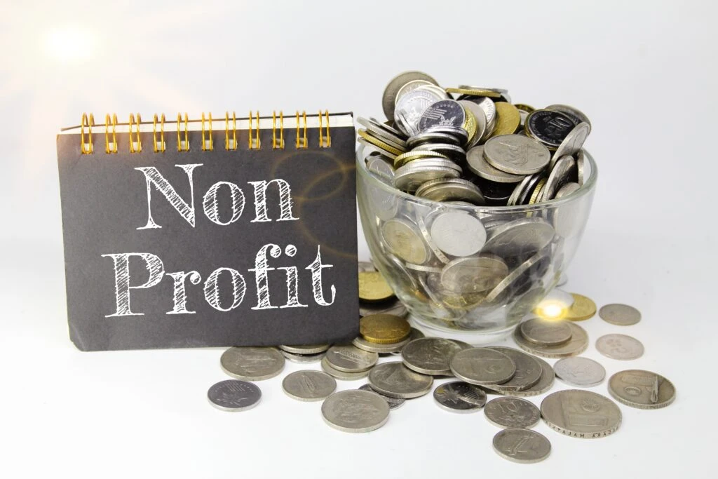 resume writing services for non profit