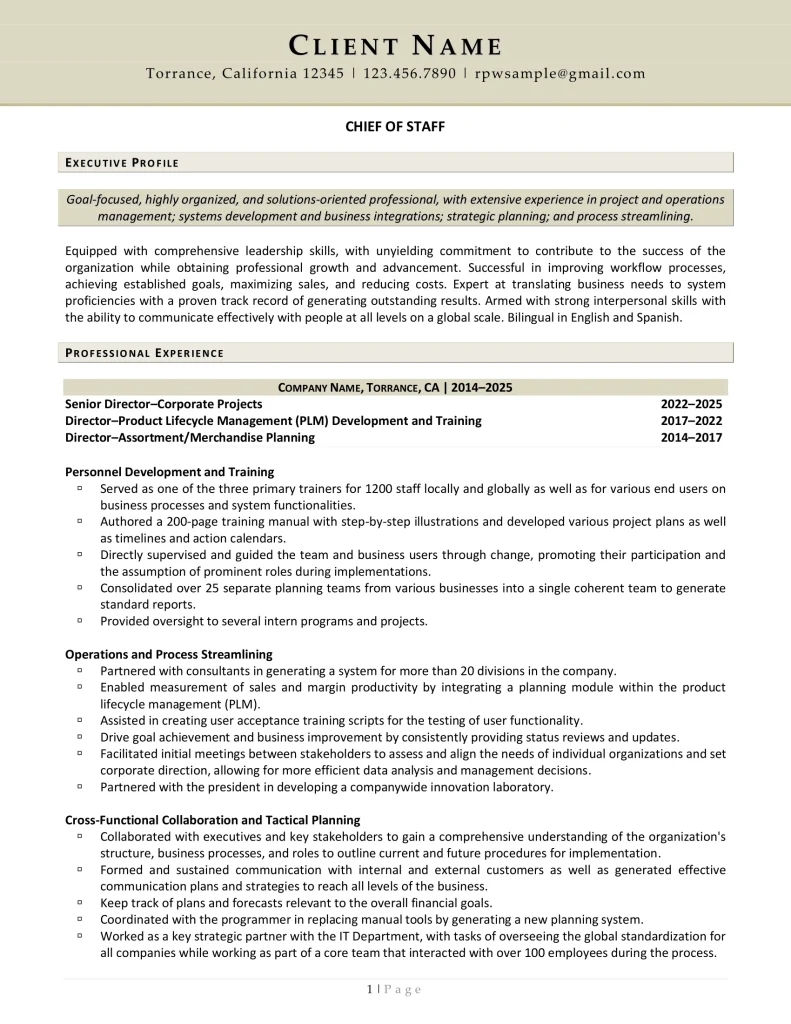 Chief Of Staff For Retail Industry Resume Example Page One