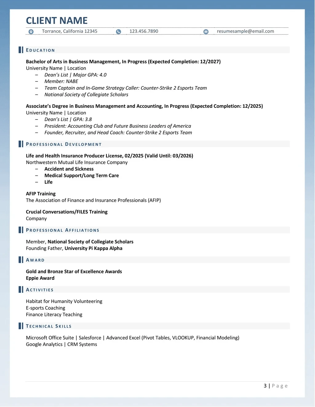 Business Development Director Resume Example Page Three