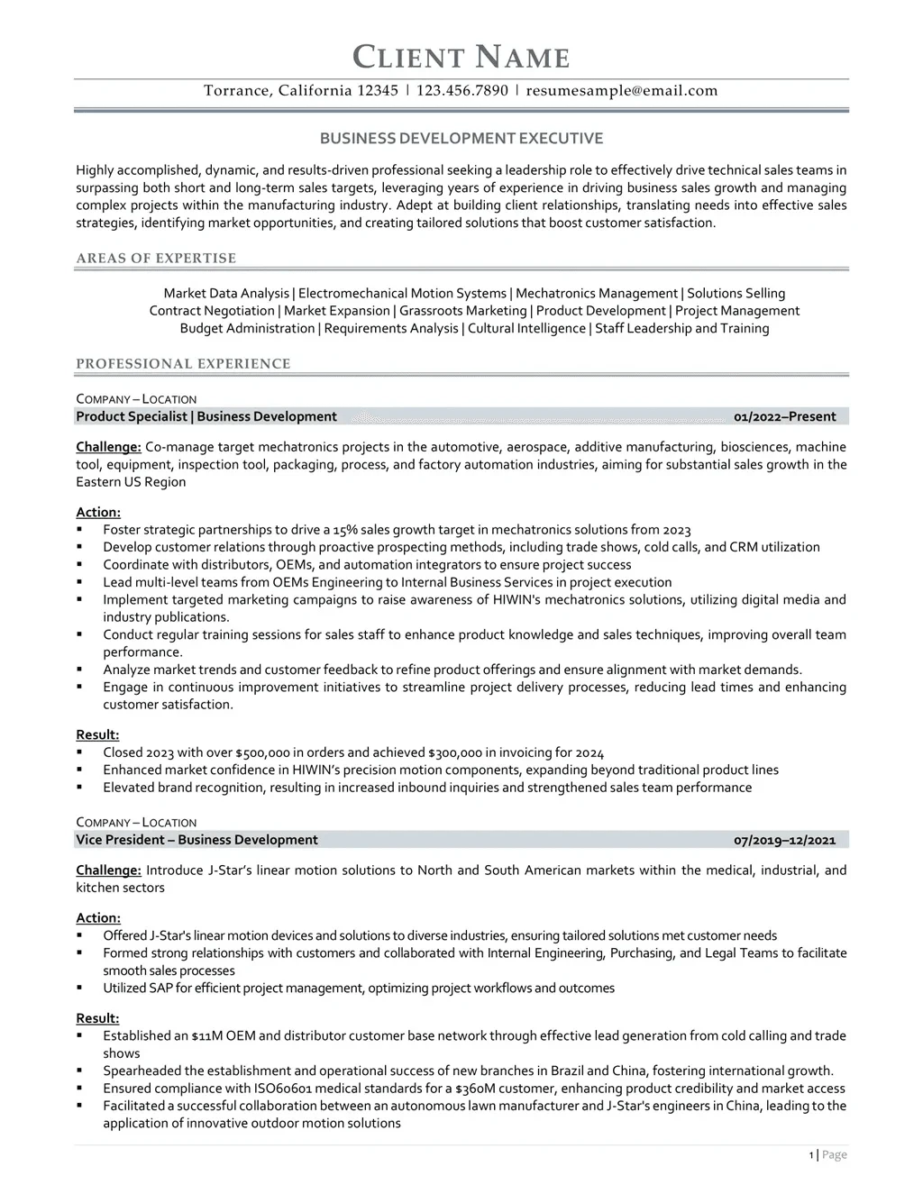 Business Development Executive Resume Example Page One