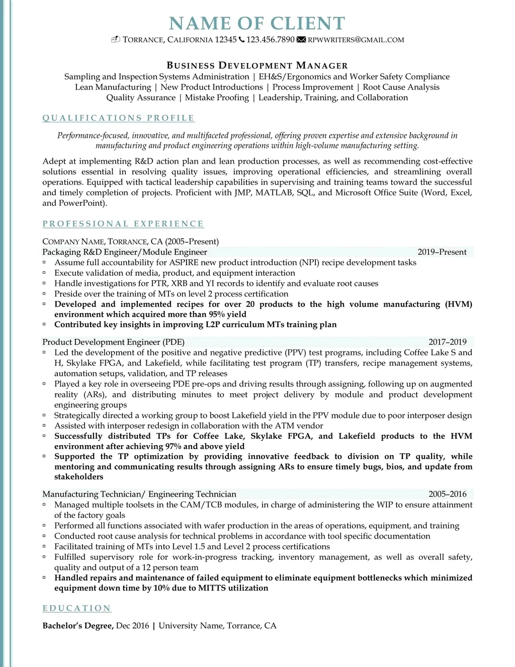 Business Development Manager Resume Example