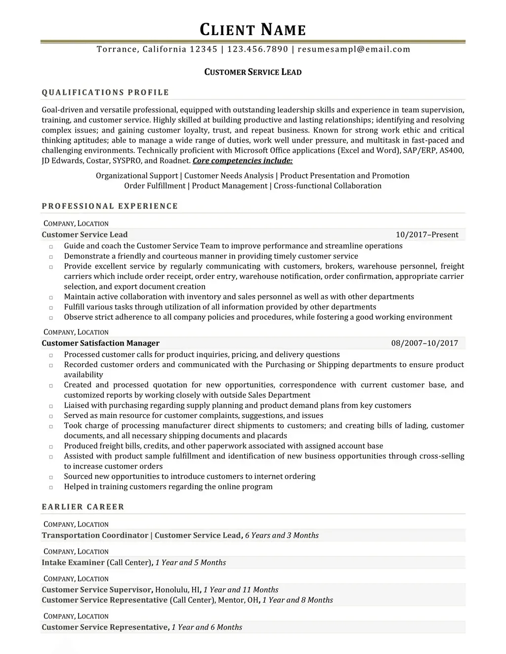 Customer Service Lead Resume Example
