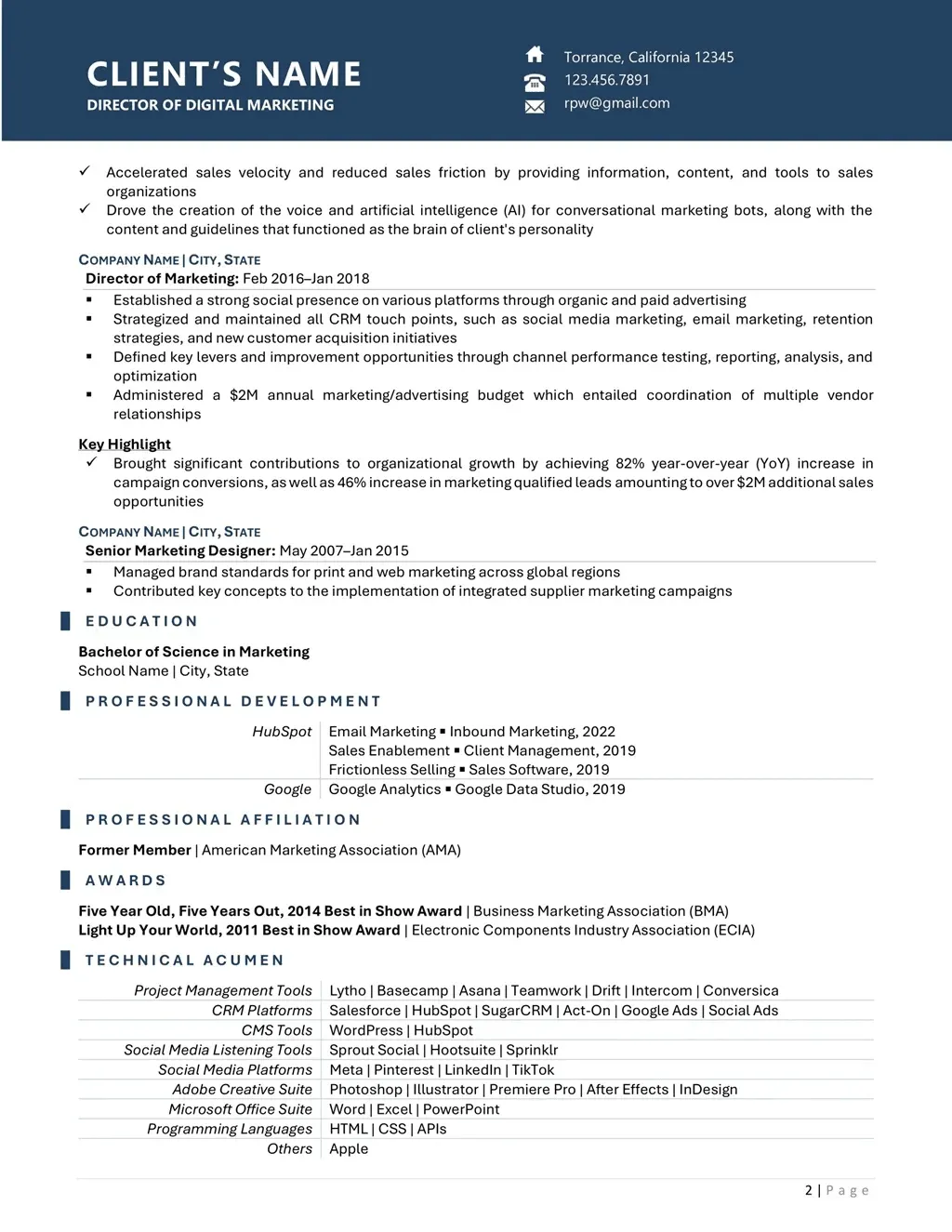 Director Of Digital Marketing Resume Example Page Two
