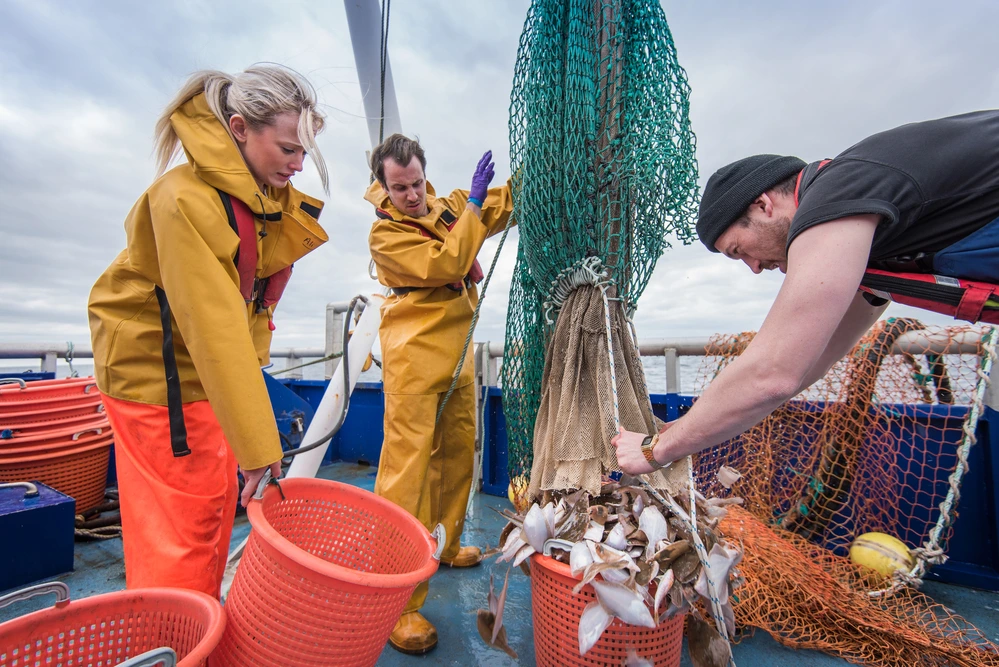 Commercial Fishers Hauling Nets In Rough Seas, Highlighting The Extreme Risks And Daily Hazards Faced In One Of The Most Dangerous Jobs In The World